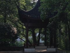 iphone_upload_pic-忠山公园