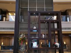 -舟山希尔顿酒店