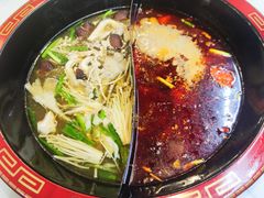 野生菌汤鸳鸯锅-瓷器口虾滑火锅店