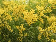 -厦门国家会计学院