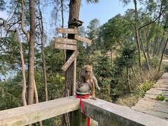 -重庆雨台山风景区