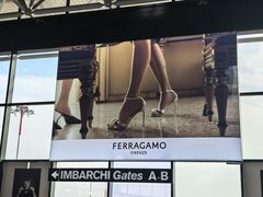 -米兰-马尔彭萨机场