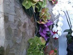 -荷兰布尔玛国际花艺学院