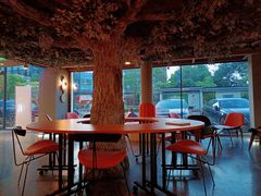 -迪欧咖啡·中西餐融合菜(平江万达旗舰店)