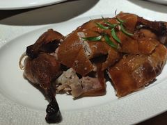 -圆苑(金茂店)