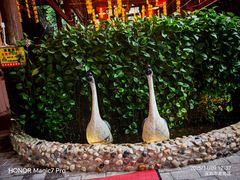 -鹅滋道(甘坑古镇店)