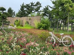 -羊亭河湿地公园