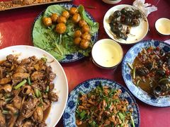 -生态苑农庄(十里画廊遇龙河店)