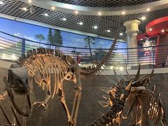 -国家自然博物馆