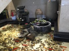 -香浙汇(望京店)