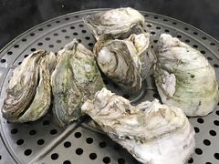 -蚝专家(北滘店)