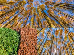 -山王坪喀斯特国家生态公园