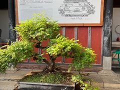 -朱家花园