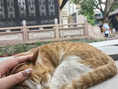-古大圣慈寺
