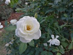 -人民公园(罗湖区)