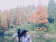 -山王坪喀斯特国家生态公园