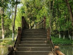 -桤木河湿地公园