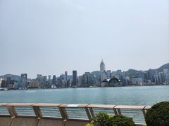 -星光大道