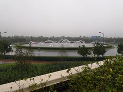 -迪士尼乐园停车场