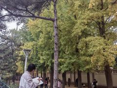-钓鱼台国宾馆