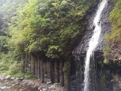 -望天鹅景区