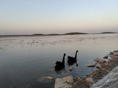 -南大港湿地风景区