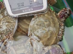 -盒马鲜生(大成店)