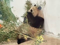 -杭州动物园