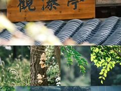 -紫阳古街
