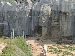 -无锡动物园·太湖欢乐园