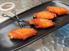 -柴犬高等学院·狗咖·柴犬售卖·宠物训练