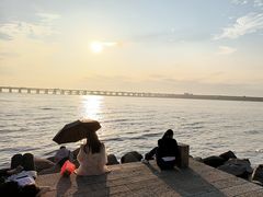 -宝安西湾红树林湿地公园