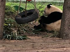 -西安秦岭野生动物园