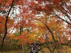 -常寂光寺