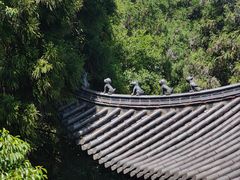 -玉苍山国家森林公园