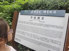 -张坝桂圆林公园