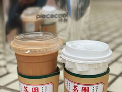 黑白鴛鴦-荔園 LaiYuen