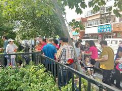 -天津市盛世星光幼儿园