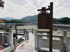 -红山村