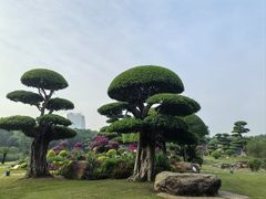 -南宁南湖公园