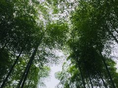 -天下银坑