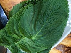 苏子叶-海花锅盖烧烤店(怡馨家园店)