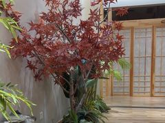 -东方之珠洗浴休闲广场(南开店)
