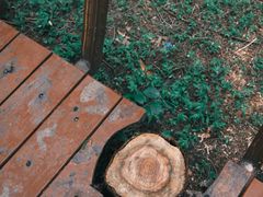 -上海浦江郊野公园-3号停车场