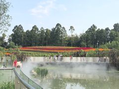 景点-天府芙蓉园