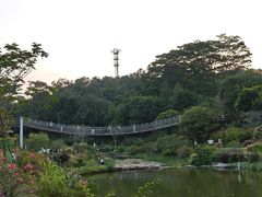 -东莞植物园