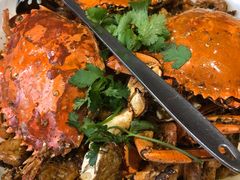 -石头咕(葵蓬店)