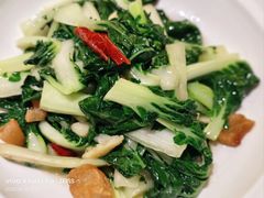 -宫燕府·京菜·烤鸭·淮扬菜(王府中心店)