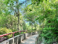 -南京市江宁方山