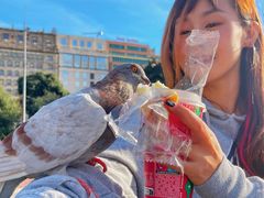 -加泰罗尼亚广场